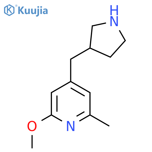 2-methoxy-6-methyl-4-(pyrrolidin-3-yl)methylpyridine structure