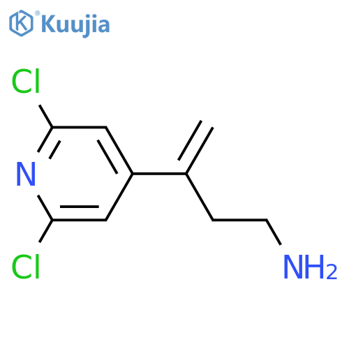 3-(2,6-dichloropyridin-4-yl)but-3-en-1-amine structure