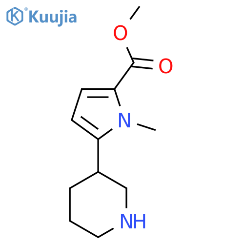 methyl 1-methyl-5-(piperidin-3-yl)-1H-pyrrole-2-carboxylate structure