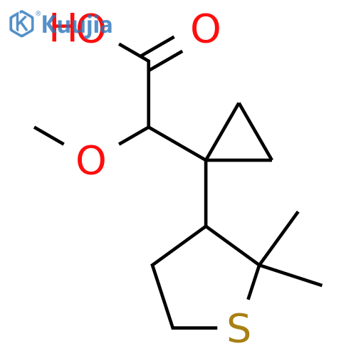 2-1-(2,2-dimethylthiolan-3-yl)cyclopropyl-2-methoxyacetic acid structure