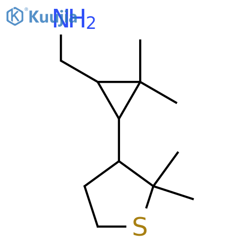 [3-(2,2-Dimethylthiolan-3-yl)-2,2-dimethylcyclopropyl]methanamine structure