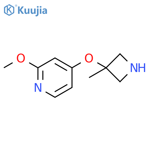 2-methoxy-4-(3-methylazetidin-3-yl)oxypyridine structure