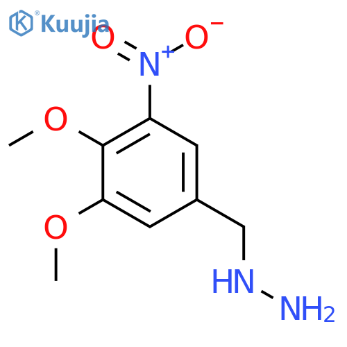 (3,4-dimethoxy-5-nitrophenyl)methylhydrazine structure