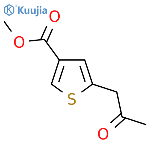 methyl 5-(2-oxopropyl)thiophene-3-carboxylate structure
