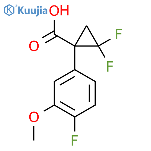 2,2-difluoro-1-(4-fluoro-3-methoxyphenyl)cyclopropane-1-carboxylic acid structure