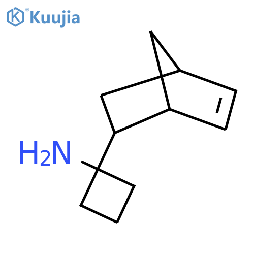 1-{bicyclo2.2.1hept-5-en-2-yl}cyclobutan-1-amine structure