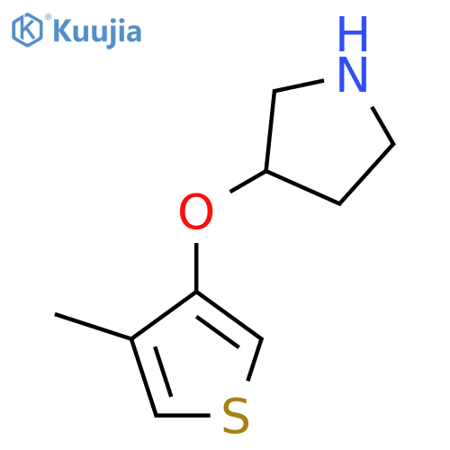 3-(4-methylthiophen-3-yl)oxypyrrolidine structure