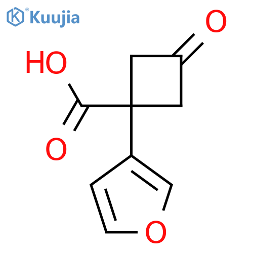 1-(furan-3-yl)-3-oxocyclobutane-1-carboxylic acid structure