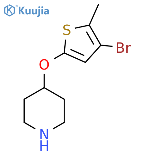 4-(4-bromo-5-methylthiophen-2-yl)oxypiperidine structure