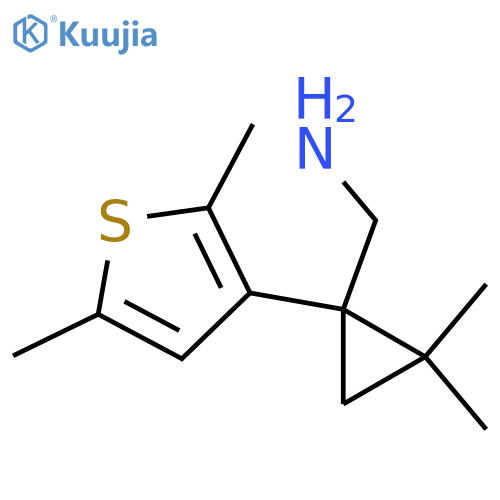 1-(2,5-dimethylthiophen-3-yl)-2,2-dimethylcyclopropylmethanamine structure