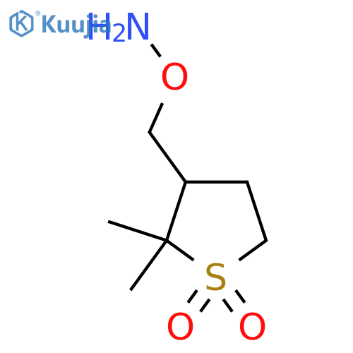 3-(aminooxy)methyl-2,2-dimethyl-1lambda6-thiolane-1,1-dione structure