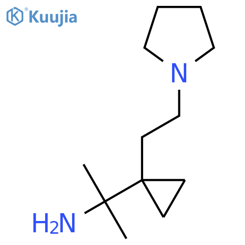 2-{1-2-(pyrrolidin-1-yl)ethylcyclopropyl}propan-2-amine structure