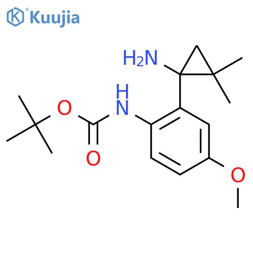 tert-butyl N-2-(1-amino-2,2-dimethylcyclopropyl)-4-methoxyphenylcarbamate structure