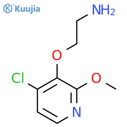 2-(4-chloro-2-methoxypyridin-3-yl)oxyethan-1-amine structure