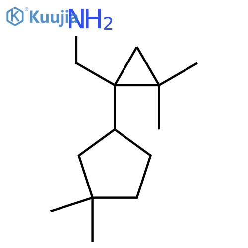 1-(3,3-dimethylcyclopentyl)-2,2-dimethylcyclopropylmethanamine structure