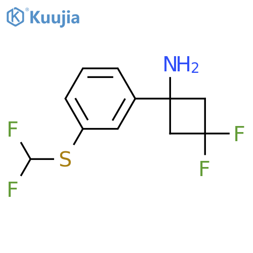 1-{3-(difluoromethyl)sulfanylphenyl}-3,3-difluorocyclobutan-1-amine structure