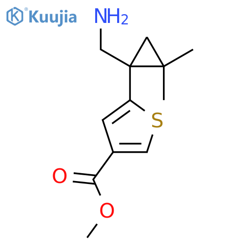 methyl 5-1-(aminomethyl)-2,2-dimethylcyclopropylthiophene-3-carboxylate structure