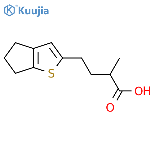 4-{4H,5H,6H-cyclopentabthiophen-2-yl}-2-methylbutanoic acid structure