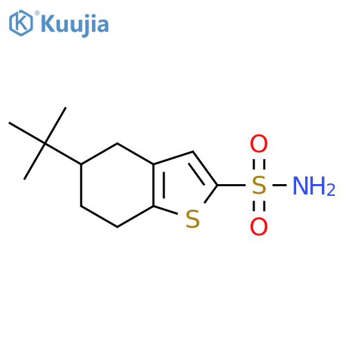 5-tert-butyl-4,5,6,7-tetrahydro-1-benzothiophene-2-sulfonamide structure