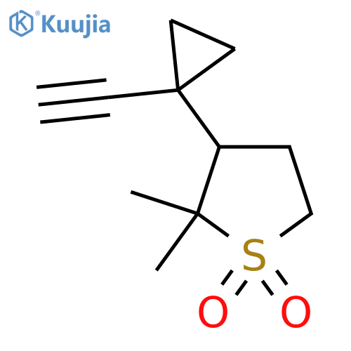 3-(1-ethynylcyclopropyl)-2,2-dimethyl-1lambda6-thiolane-1,1-dione structure