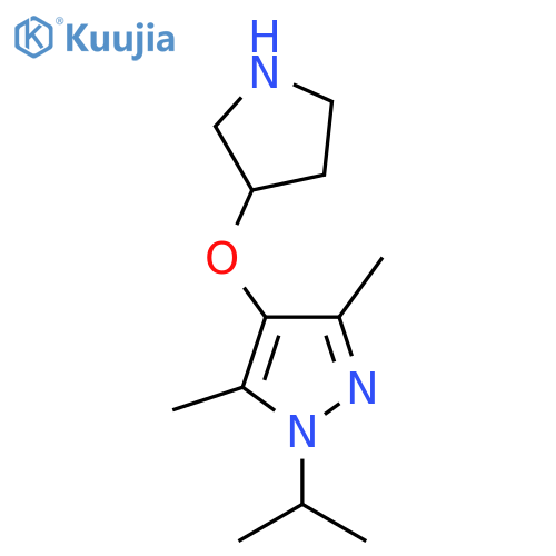 3,5-dimethyl-1-(propan-2-yl)-4-(pyrrolidin-3-yloxy)-1H-pyrazole structure