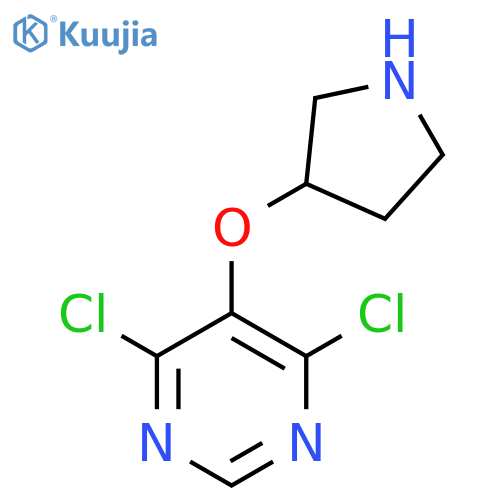4,6-dichloro-5-(pyrrolidin-3-yloxy)pyrimidine structure