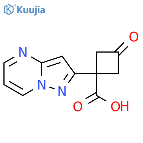 3-oxo-1-{pyrazolo1,5-apyrimidin-2-yl}cyclobutane-1-carboxylic acid structure