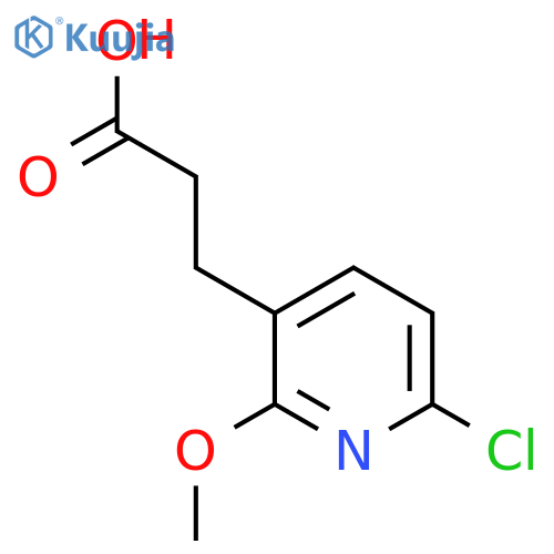 3-(6-chloro-2-methoxypyridin-3-yl)propanoic acid structure