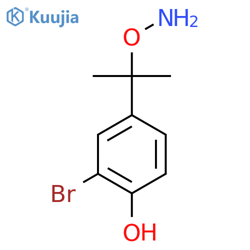 4-[2-(Aminooxy)propan-2-yl]-2-bromophenol structure