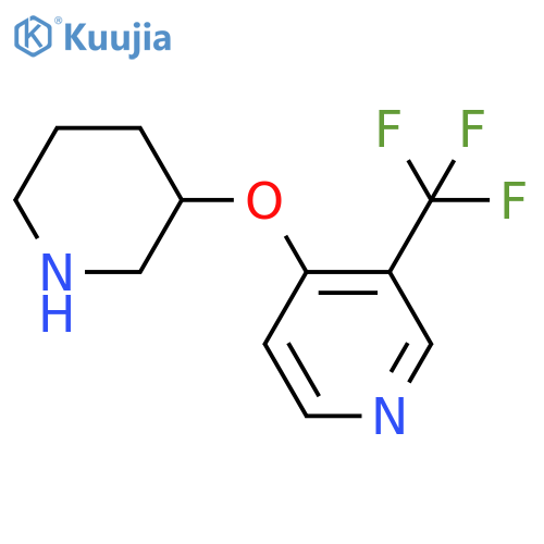 4-(piperidin-3-yloxy)-3-(trifluoromethyl)pyridine structure