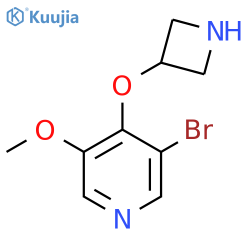 4-(azetidin-3-yloxy)-3-bromo-5-methoxypyridine structure