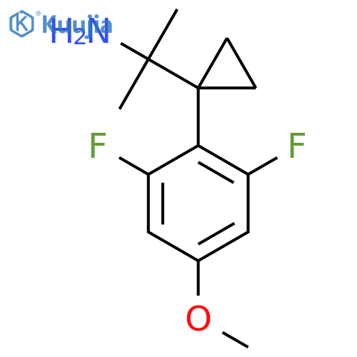 2-1-(2,6-difluoro-4-methoxyphenyl)cyclopropylpropan-2-amine structure