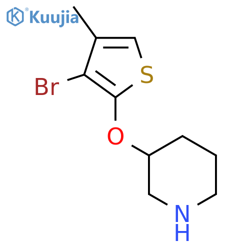3-(3-bromo-4-methylthiophen-2-yl)oxypiperidine structure