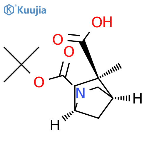 O2-tert-butyl O5-methyl (1S,4R,5R)-2-azabicyclo[2.2.1]heptane-2,5-dicarboxylate structure