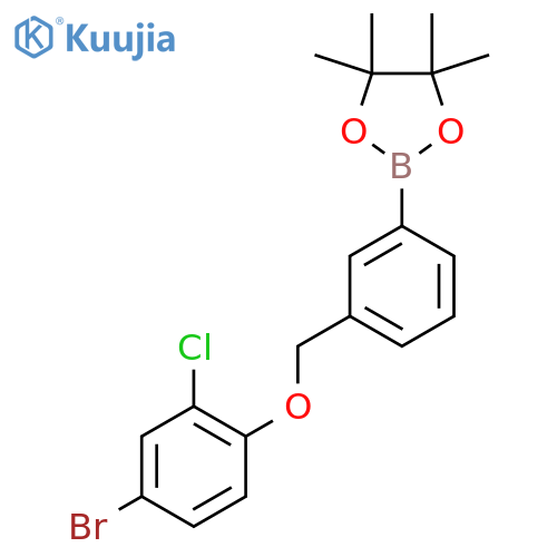 2-(3-((4-Bromo-2-chlorophenoxy)methyl)phenyl)-4,4,5,5-tetramethyl-1,3,2-dioxaborolane structure