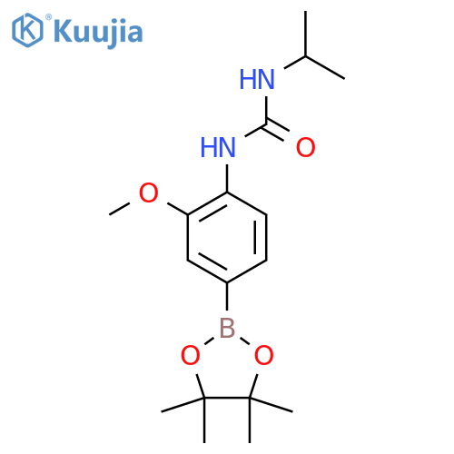 1-Isopropyl-3-(2-methoxy-4-(4,4,5,5-tetramethyl-1,3,2-dioxaborolan-2-yl)phenyl)urea structure