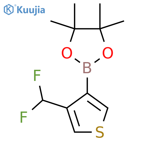 2-4-(difluoromethyl)thiophen-3-yl-4,4,5,5-tetramethyl-1,3,2-dioxaborolane structure