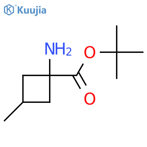Tert-butyl 1-amino-3-methylcyclobutane-1-carboxylate structure