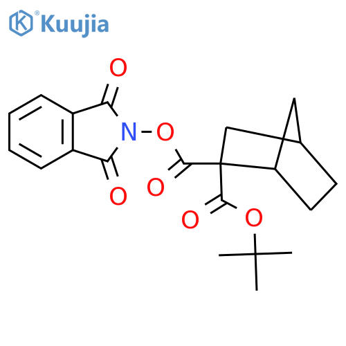 2-tert-butyl 2-(1,3-dioxo-2,3-dihydro-1H-isoindol-2-yl) bicyclo[2.2.1]heptane-2,2-dicarboxylate structure