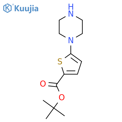 Tert-butyl 5-(piperazin-1-yl)thiophene-2-carboxylate structure
