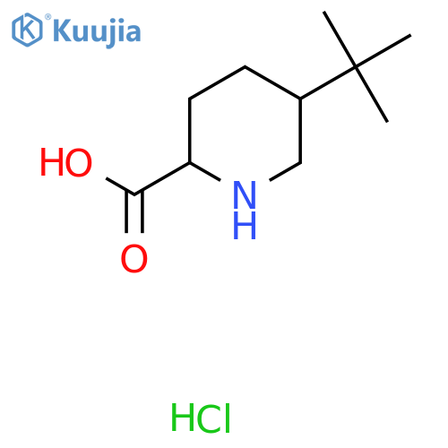 5-Tert-butylpiperidine-2-carboxylic acid;hydrochloride structure