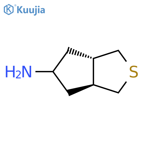 rac-(3aR,6aR)-hexahydro-1H-cyclopenta[c]thiophen-5-amine structure