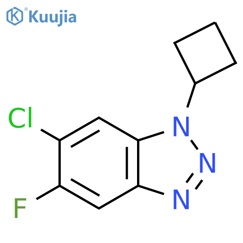 6-chloro-1-cyclobutyl-5-fluoro-1H-1,2,3-benzotriazole structure