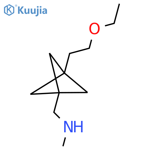 1-[3-(2-Ethoxyethyl)-1-bicyclo[1.1.1]pentanyl]-N-methylmethanamine structure