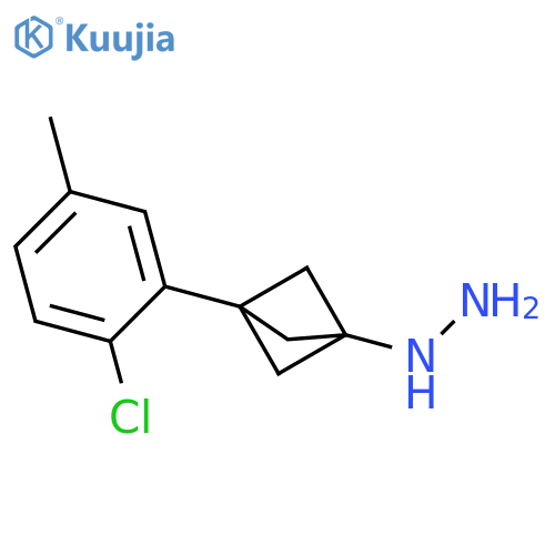 [3-(2-Chloro-5-methylphenyl)-1-bicyclo[1.1.1]pentanyl]hydrazine structure