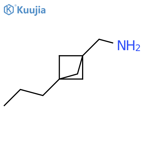 Bicyclo[1.1.1]pentane-1-methanamine, 3-propyl- structure