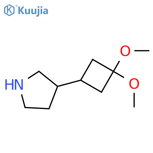3-(3,3-Dimethoxycyclobutyl)pyrrolidine structure