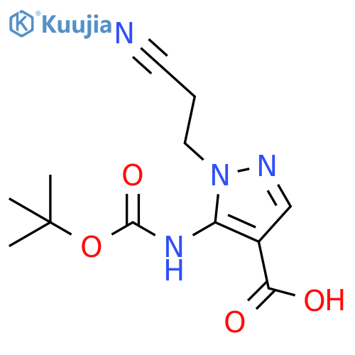 1H-Pyrazole-4-carboxylic acid, 1-(2-cyanoethyl)-5-[[(1,1-dimethylethoxy)carbonyl]amino]- structure