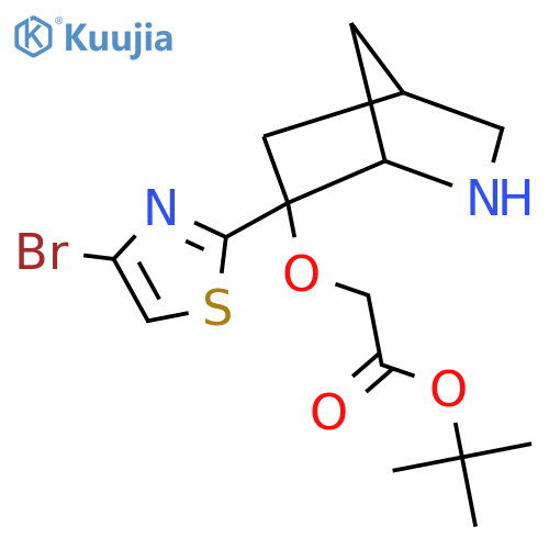 Tert-butyl 2-{[6-(4-bromo-1,3-thiazol-2-yl)-2-azabicyclo[2.2.1]heptan-6-yl]oxy}acetate structure