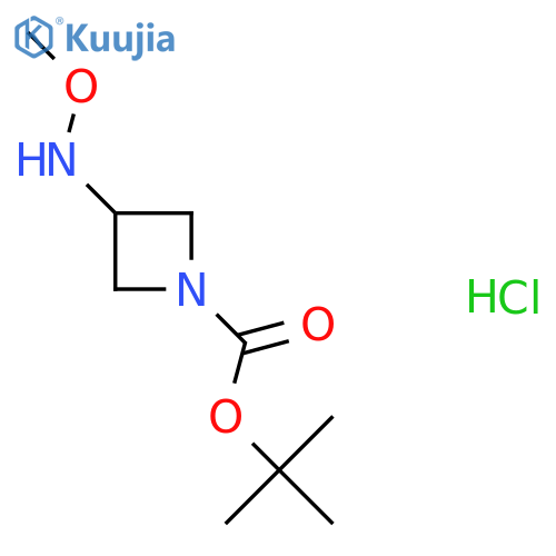 Tert-butyl 3-(methoxyamino)azetidine-1-carboxylate;hydrochloride structure